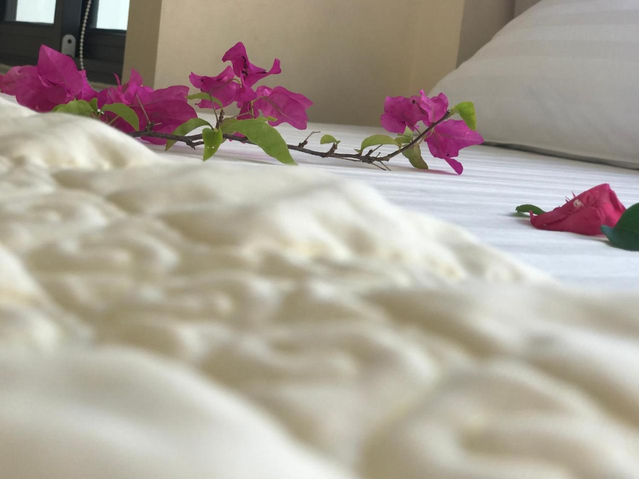 Ha Vy Hotel Cat Ba Island Eksteriør billede